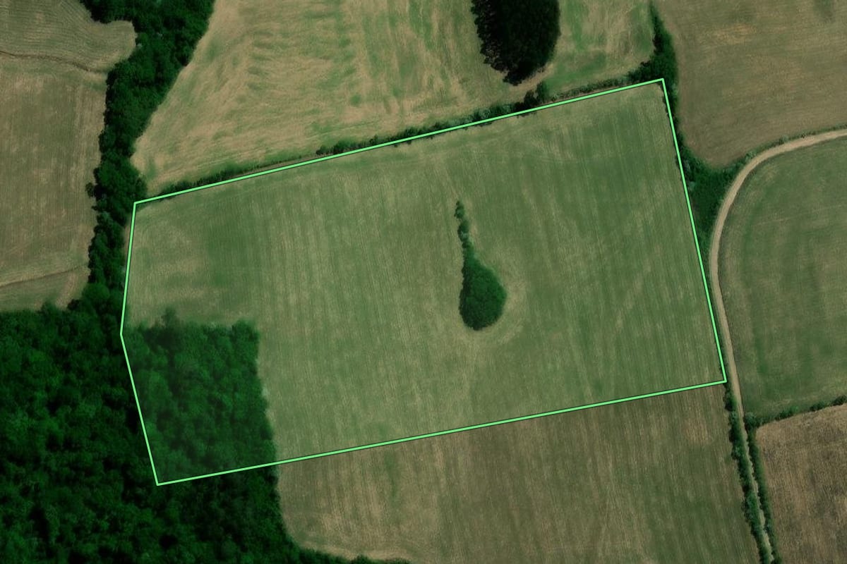 Imagem de satélite do imóvel rural em Segredo (RS), com o contorno declarado no CAR desenhado por cima.