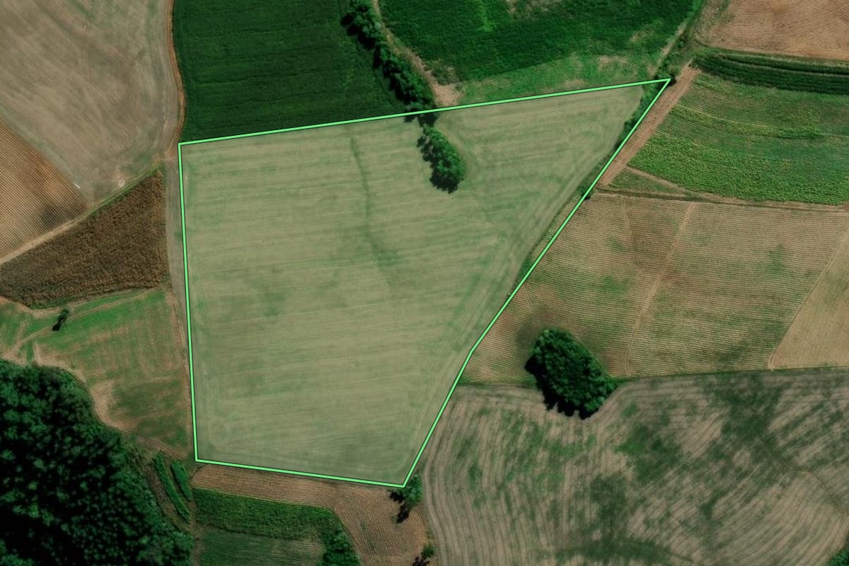 Imagem de satélite do imóvel rural em Segredo (RS), com o contorno declarado no CAR desenhado por cima.