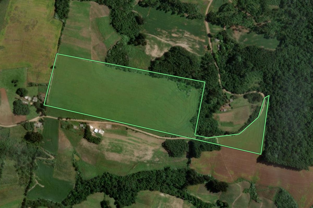 Imagem de satélite do imóvel rural em Segredo (RS), com o contorno declarado no CAR desenhado por cima.