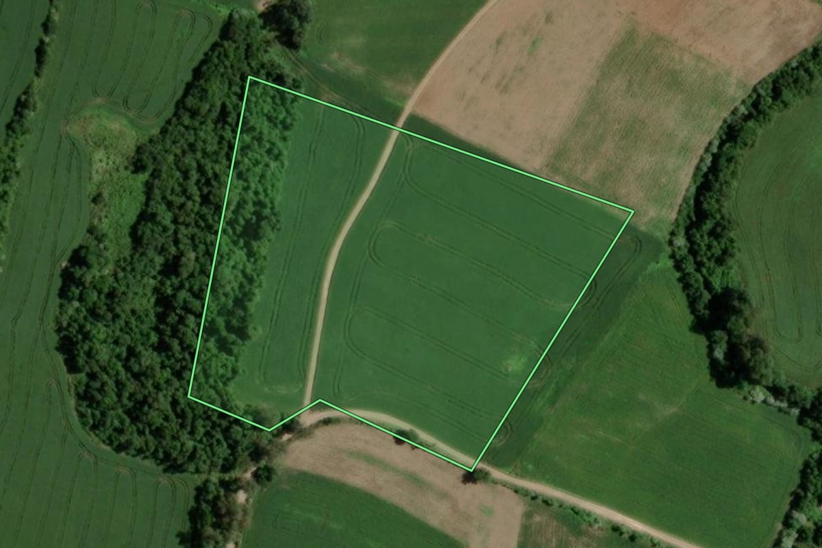 Imagem de satélite do imóvel rural em Segredo (RS), com o contorno declarado no CAR desenhado por cima.