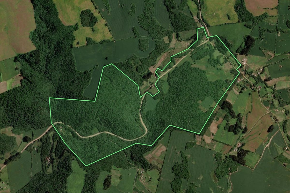 Imagem de satélite do imóvel rural em Segredo (RS), com o contorno declarado no CAR desenhado por cima.
