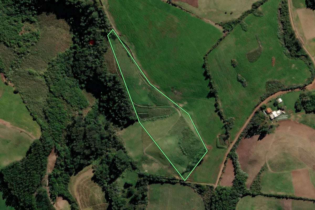 Imagem de satélite do imóvel rural em Segredo (RS), com o contorno declarado no CAR desenhado por cima.