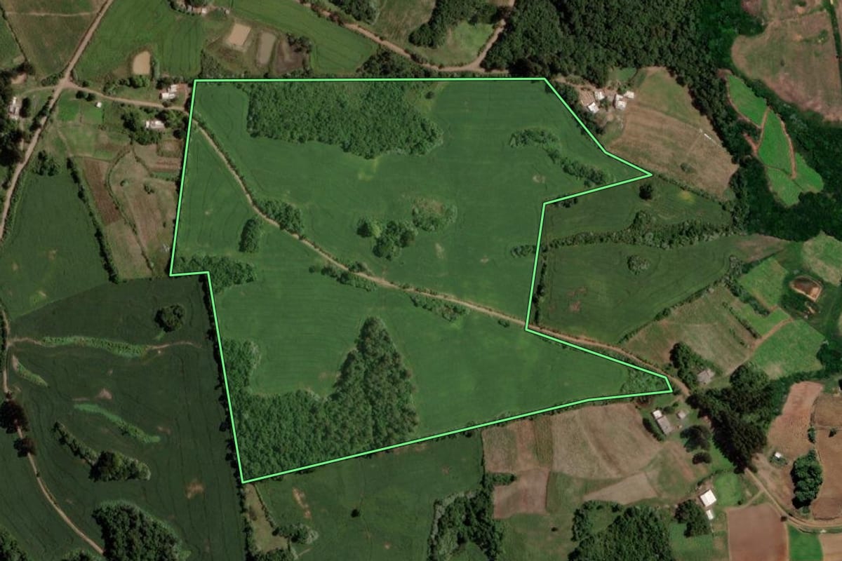 Imagem de satélite do imóvel rural em Segredo (RS), com o contorno declarado no CAR desenhado por cima.