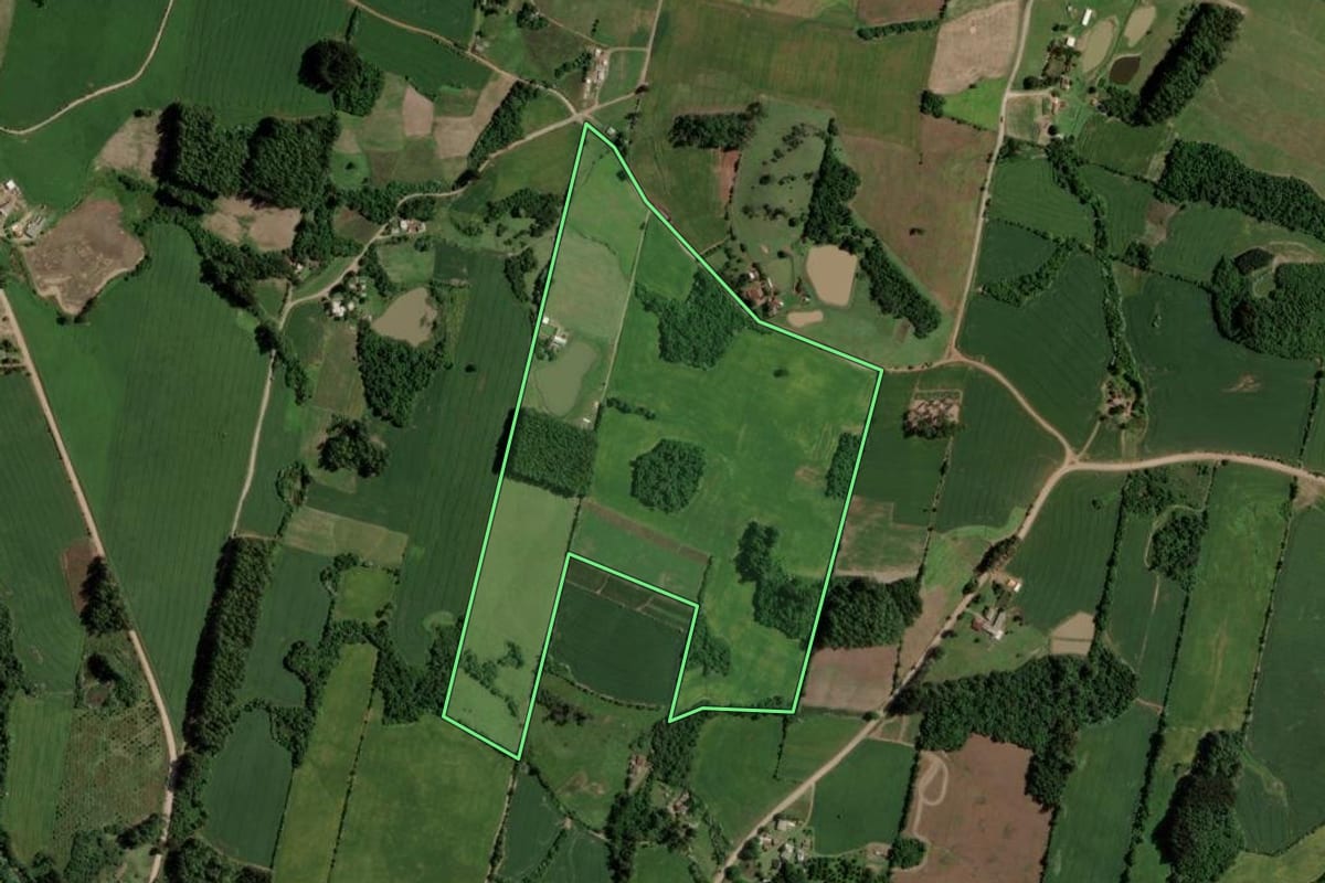Imagem de satélite do imóvel rural em Segredo (RS), com o contorno declarado no CAR desenhado por cima.