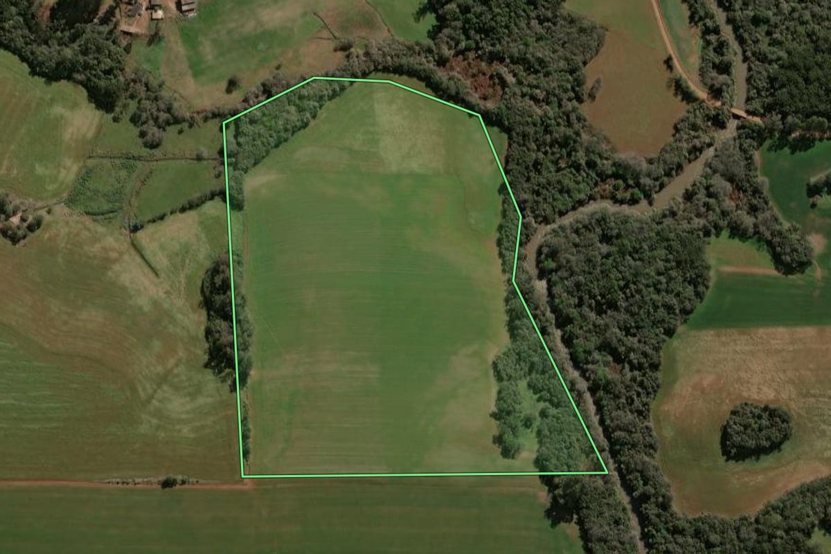 Imagem de satélite do imóvel rural em Selbach (RS), com o contorno declarado no CAR desenhado por cima.