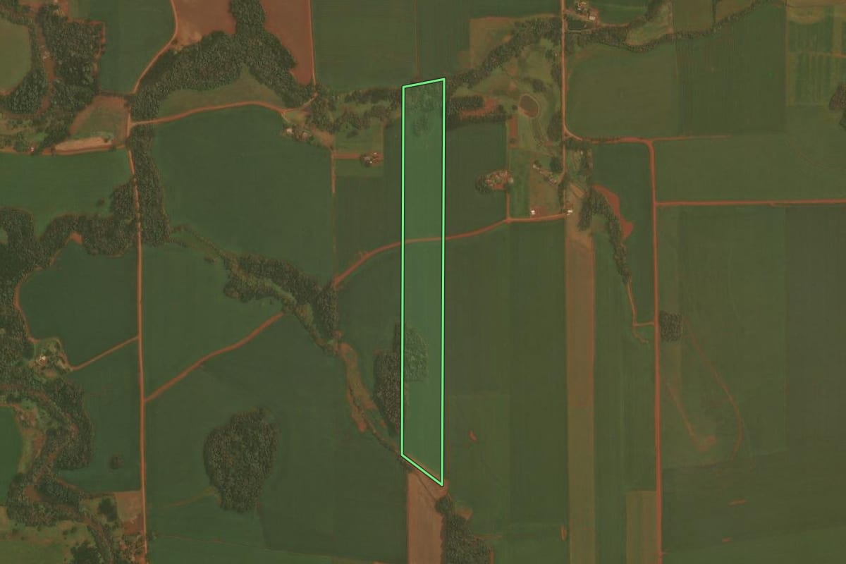 Imagem de satélite do imóvel rural em Selbach (RS), com o contorno declarado no CAR desenhado por cima.