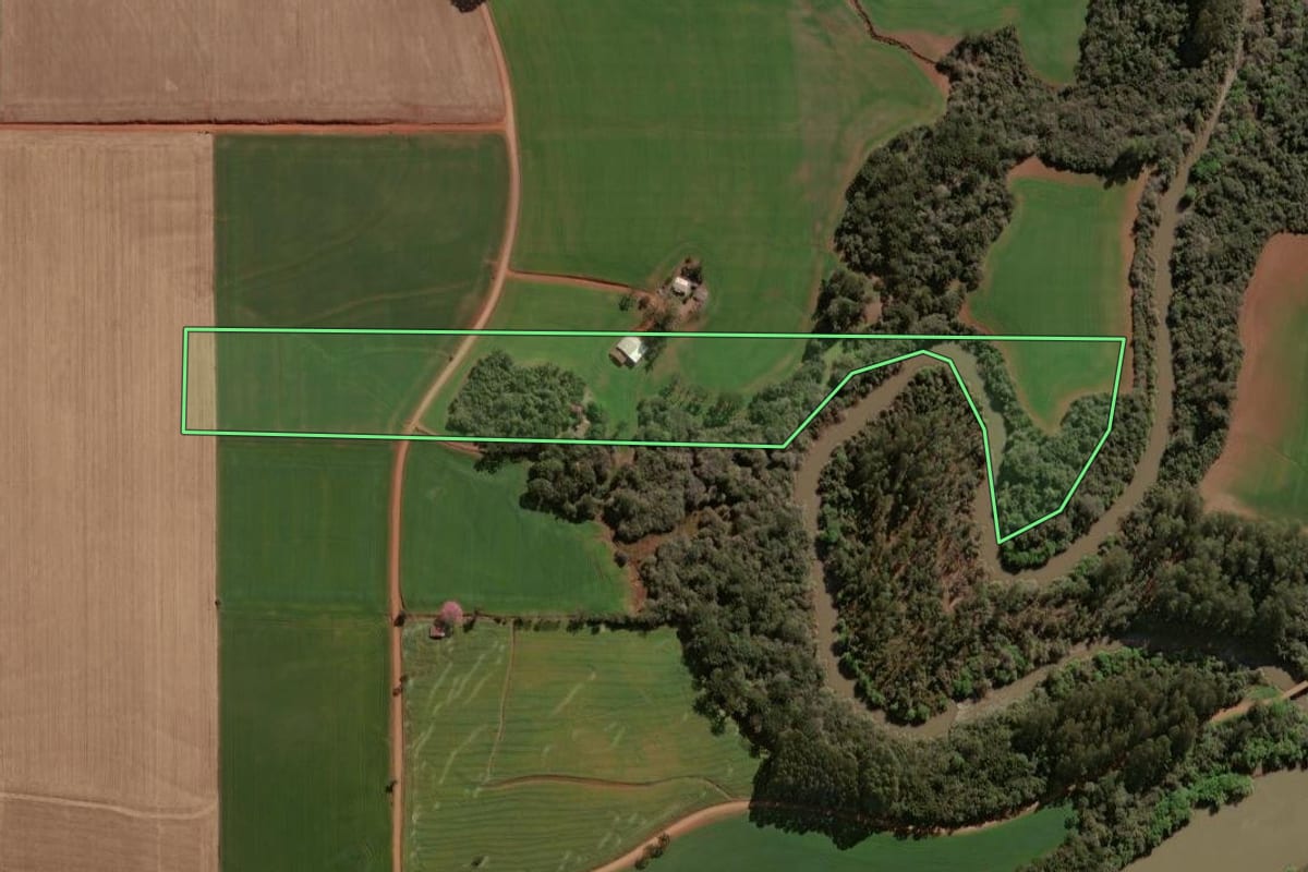 Imagem de satélite do imóvel rural em Selbach (RS), com o contorno declarado no CAR desenhado por cima.