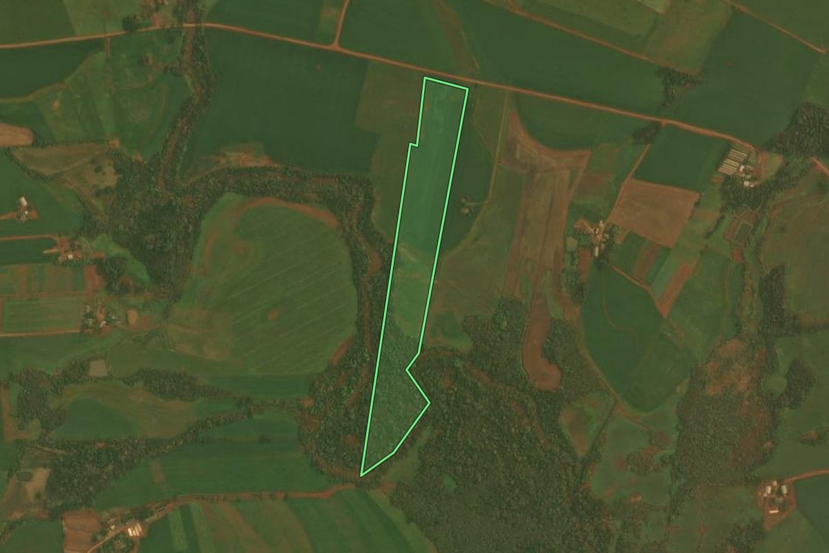 Imagem de satélite do imóvel rural em Selbach (RS), com o contorno declarado no CAR desenhado por cima.