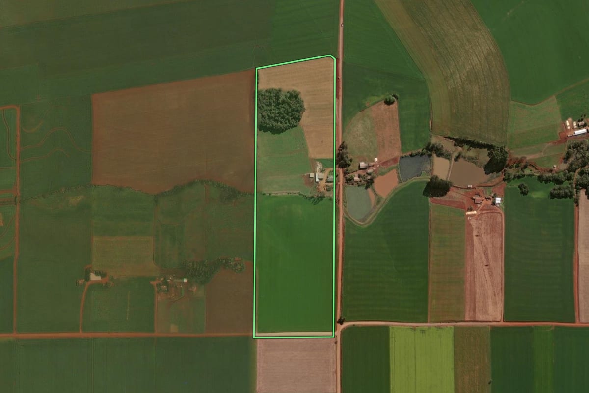 Imagem de satélite do imóvel rural em Selbach (RS), com o contorno declarado no CAR desenhado por cima.