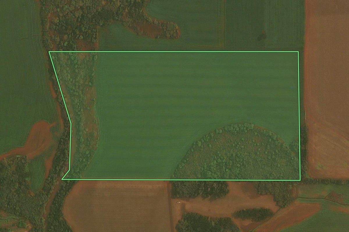 Imagem de satélite do imóvel rural em Selbach (RS), com o contorno declarado no CAR desenhado por cima.
