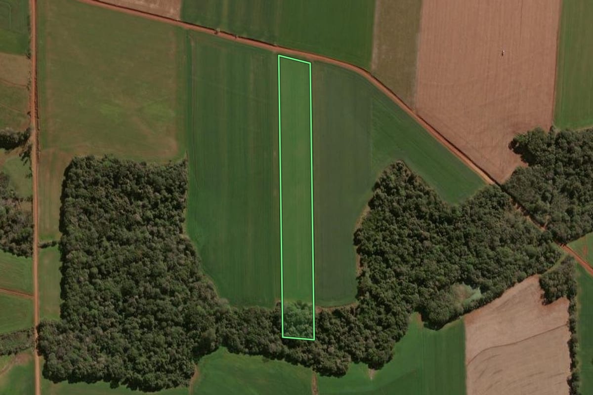 Imagem de satélite do imóvel rural em Selbach (RS), com o contorno declarado no CAR desenhado por cima.