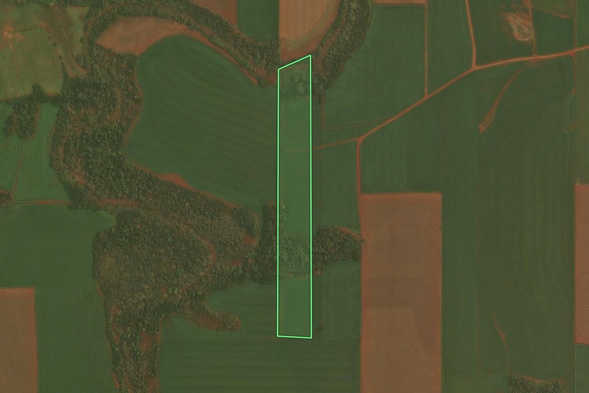 Imagem de satélite do imóvel rural em Selbach (RS), com o contorno declarado no CAR desenhado por cima.