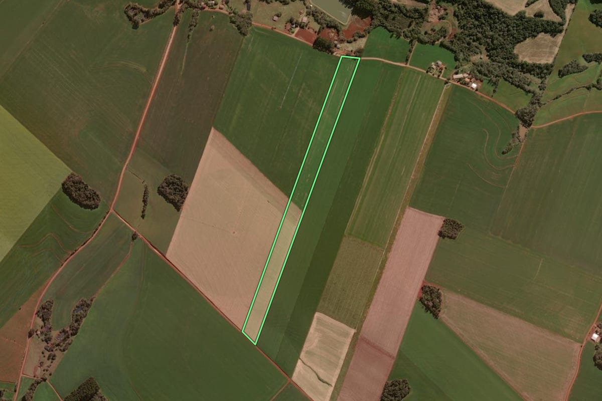Imagem de satélite do imóvel rural em Selbach (RS), com o contorno declarado no CAR desenhado por cima.