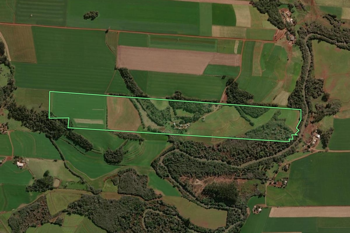Imagem de satélite do imóvel rural em Selbach (RS), com o contorno declarado no CAR desenhado por cima.