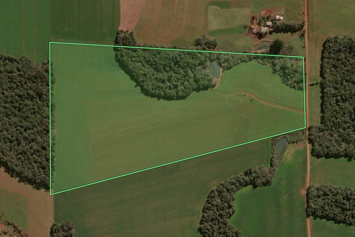 Imagem de satélite do imóvel rural em Selbach (RS), com o contorno declarado no CAR desenhado por cima.