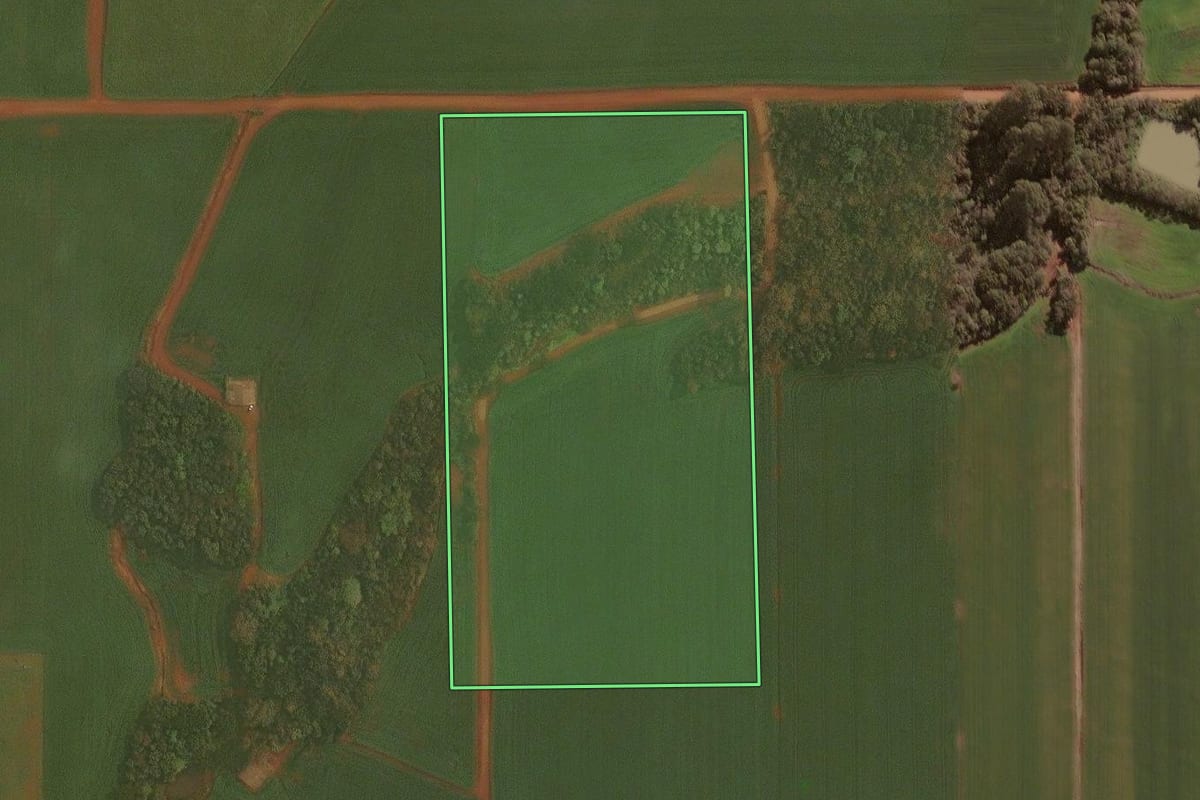 Imagem de satélite do imóvel rural em Selbach (RS), com o contorno declarado no CAR desenhado por cima.