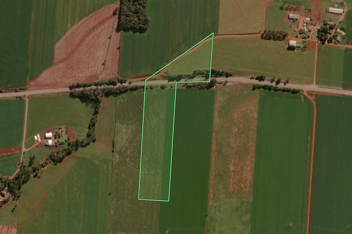 Imagem de satélite do imóvel rural em Selbach (RS), com o contorno declarado no CAR desenhado por cima.