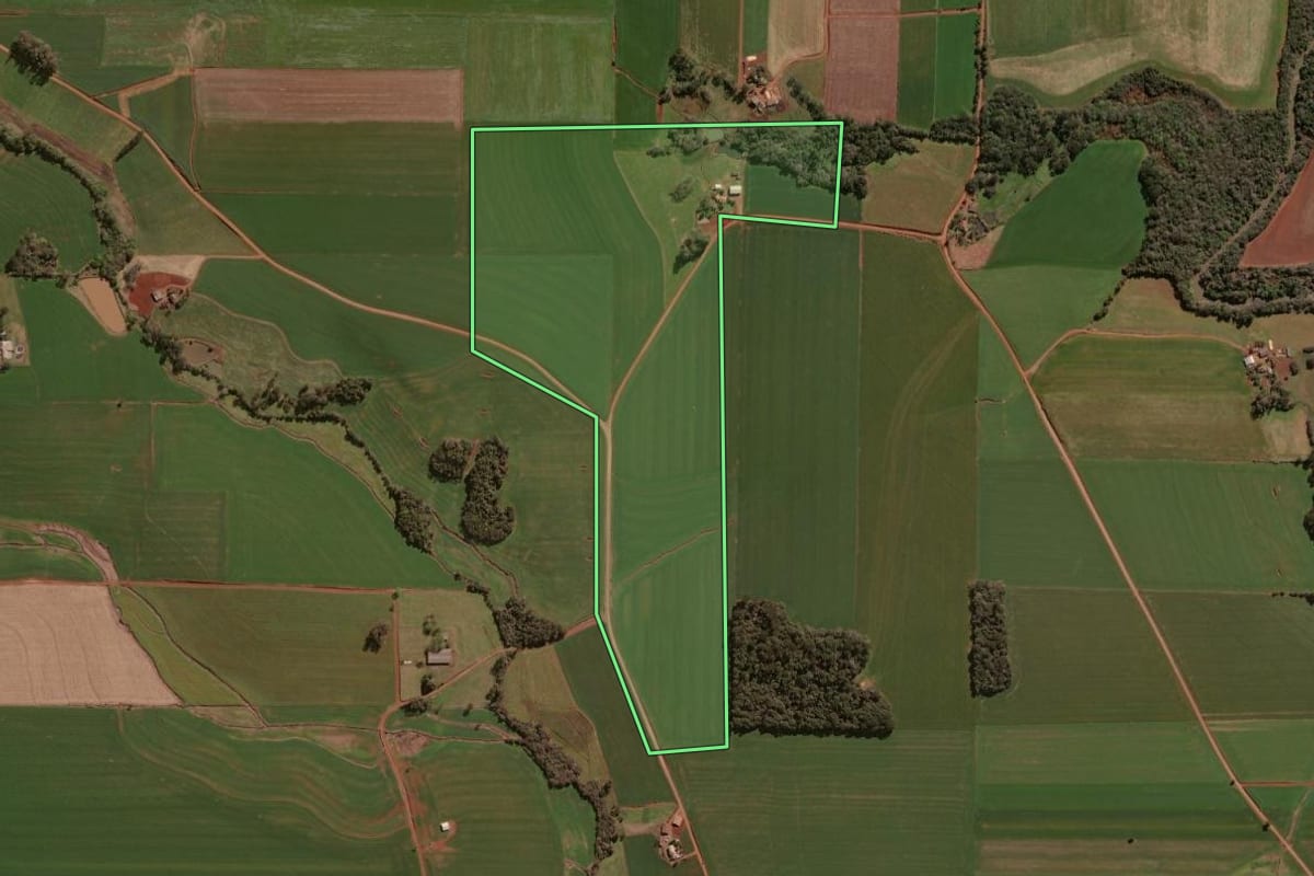 Imagem de satélite do imóvel rural em Selbach (RS), com o contorno declarado no CAR desenhado por cima.