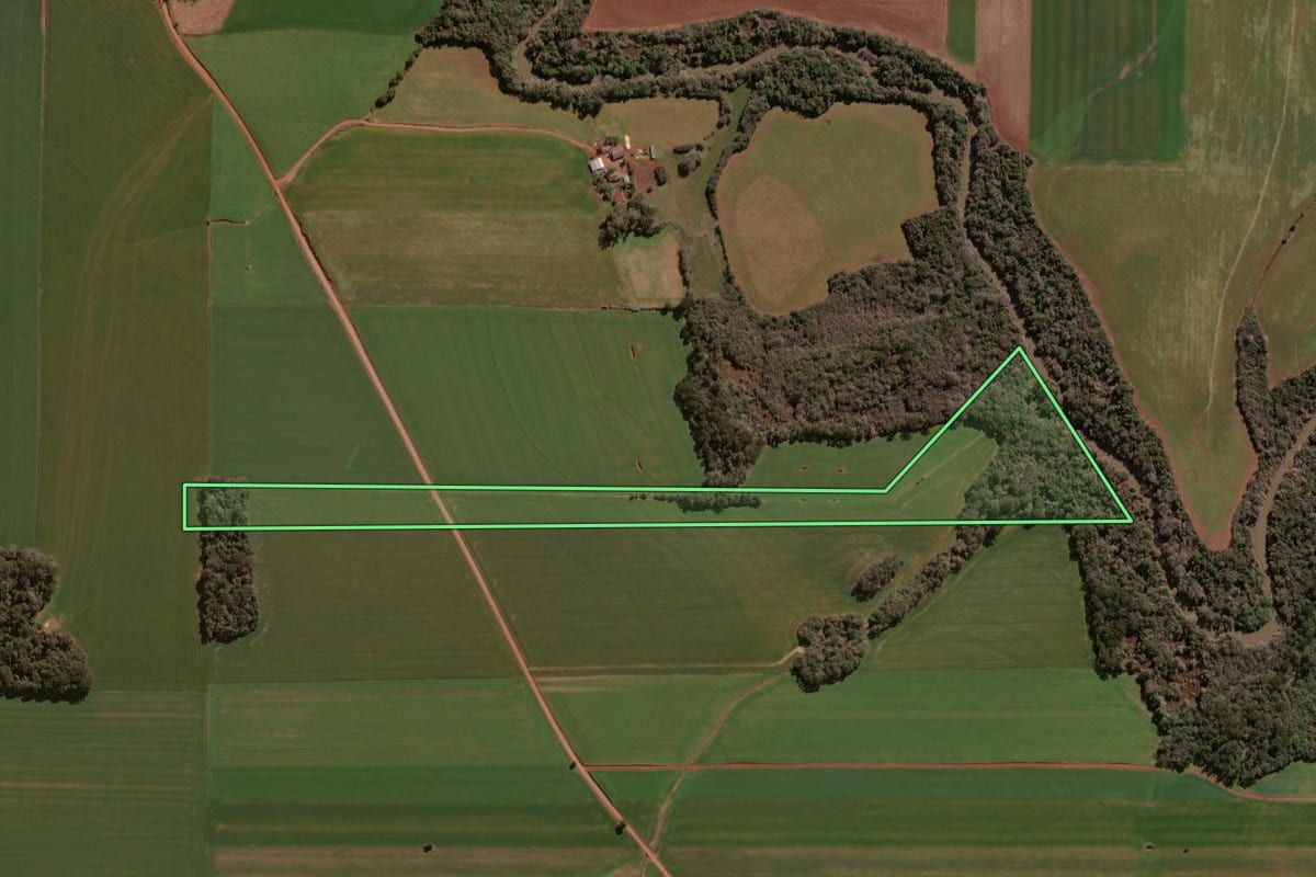 Imagem de satélite do imóvel rural em Selbach (RS), com o contorno declarado no CAR desenhado por cima.