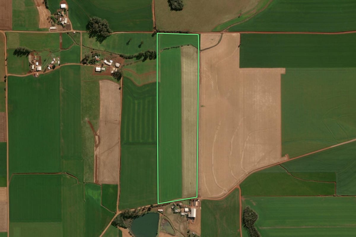 Imagem de satélite do imóvel rural em Selbach (RS), com o contorno declarado no CAR desenhado por cima.