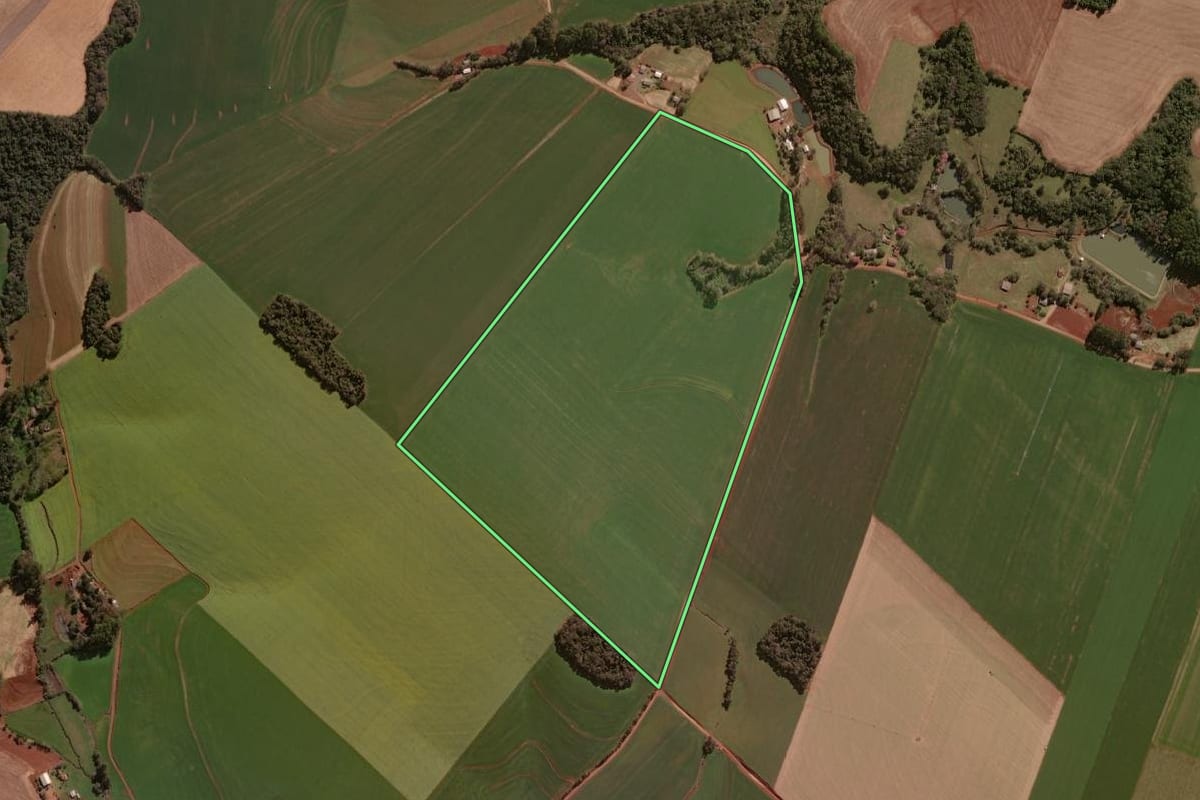 Imagem de satélite do imóvel rural em Selbach (RS), com o contorno declarado no CAR desenhado por cima.