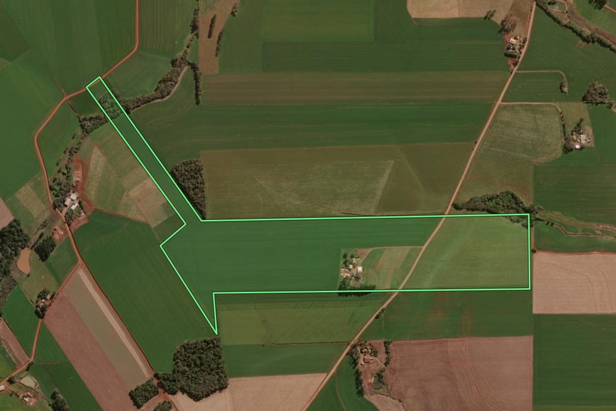 Imagem de satélite do imóvel rural em Selbach (RS), com o contorno declarado no CAR desenhado por cima.