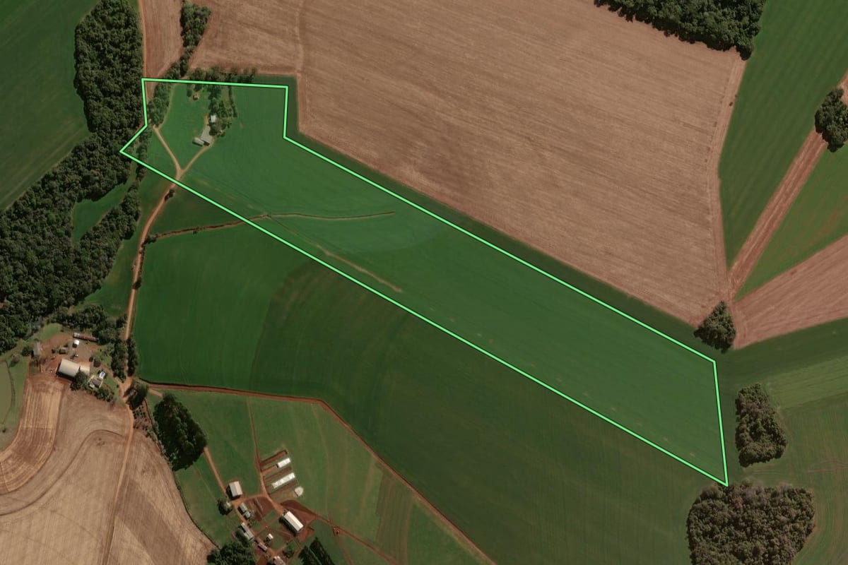 Imagem de satélite do imóvel rural em Selbach (RS), com o contorno declarado no CAR desenhado por cima.