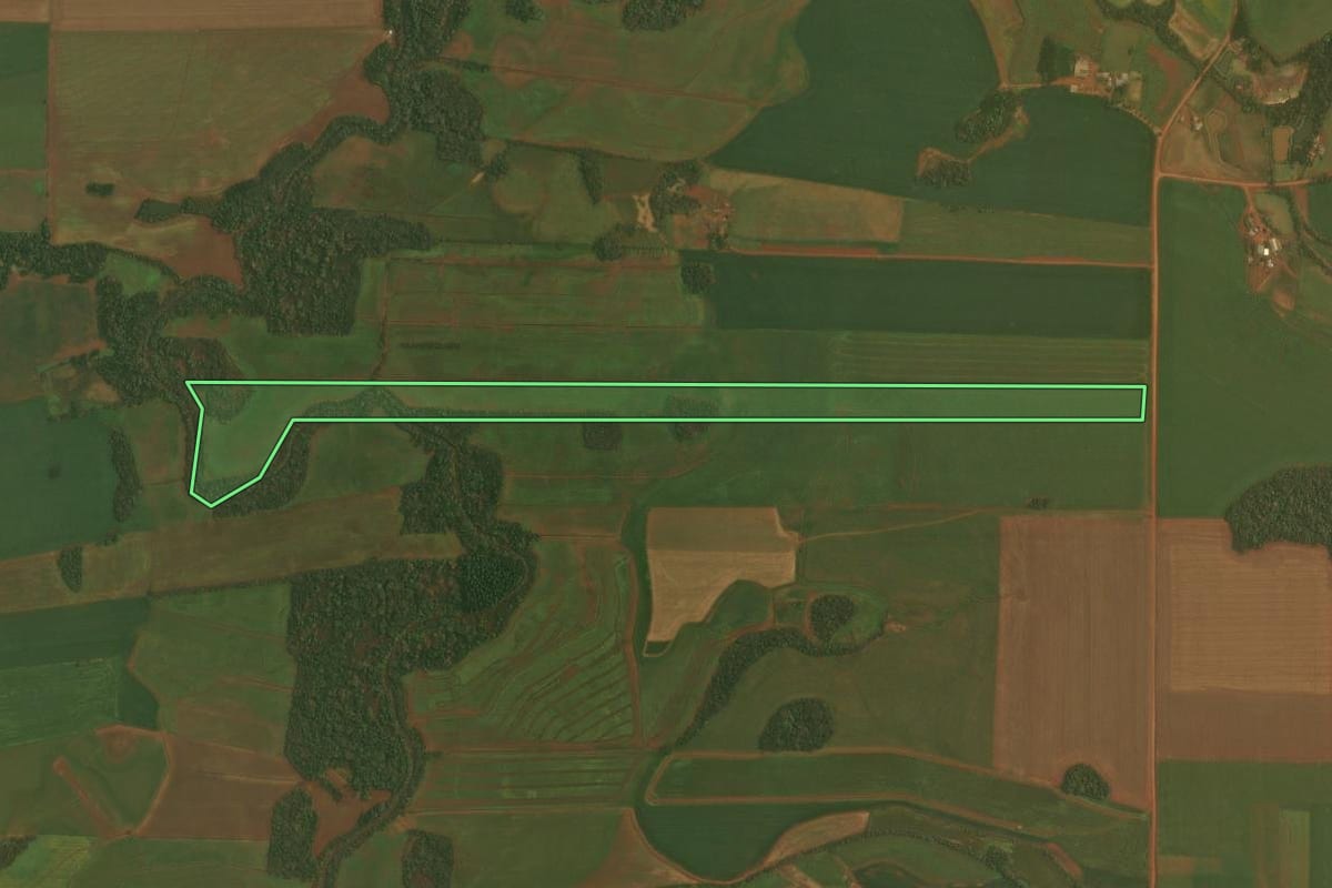Imagem de satélite do imóvel rural em Selbach (RS), com o contorno declarado no CAR desenhado por cima.