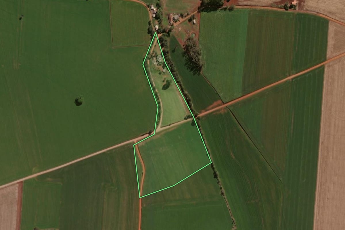 Imagem de satélite do imóvel rural em Selbach (RS), com o contorno declarado no CAR desenhado por cima.