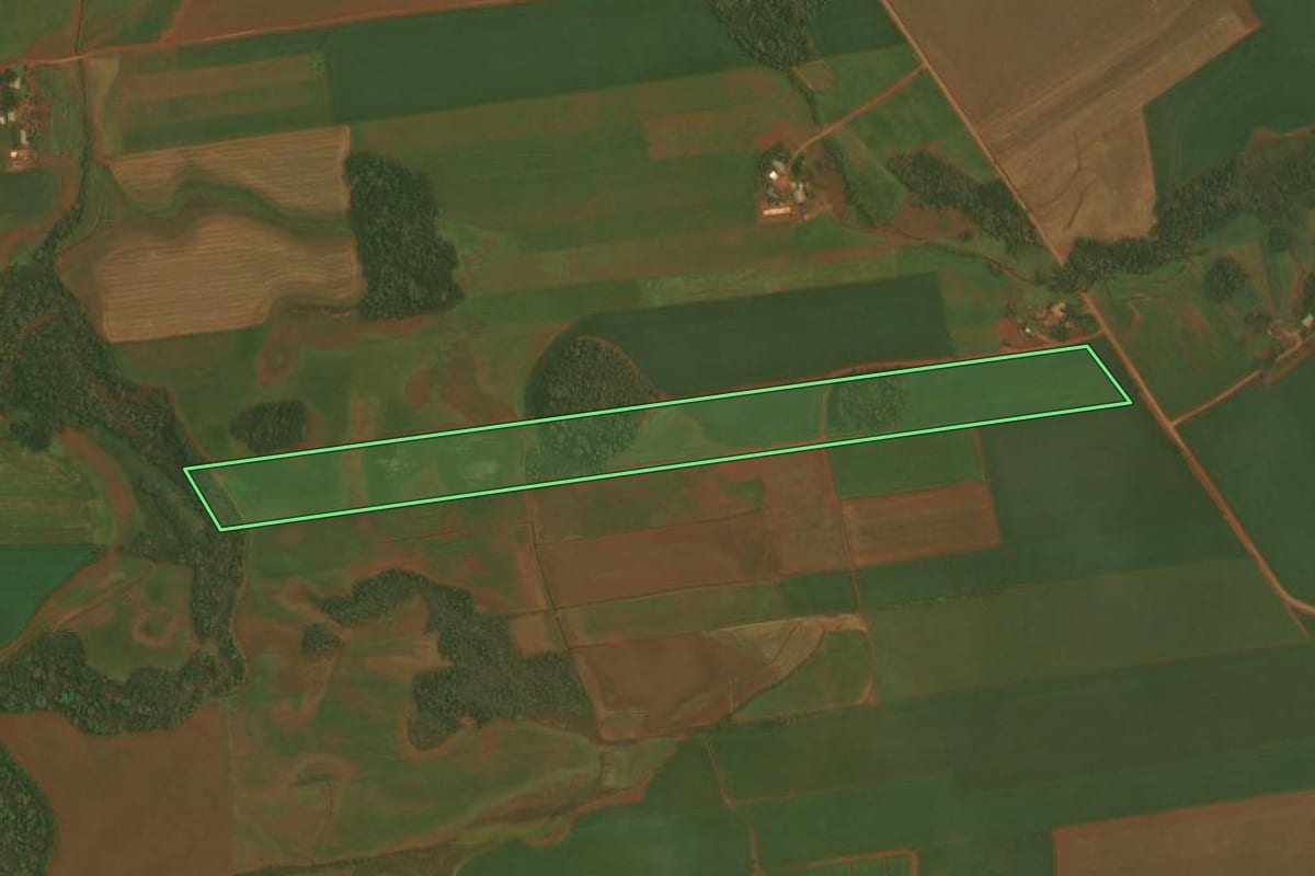Imagem de satélite do imóvel rural em Selbach (RS), com o contorno declarado no CAR desenhado por cima.