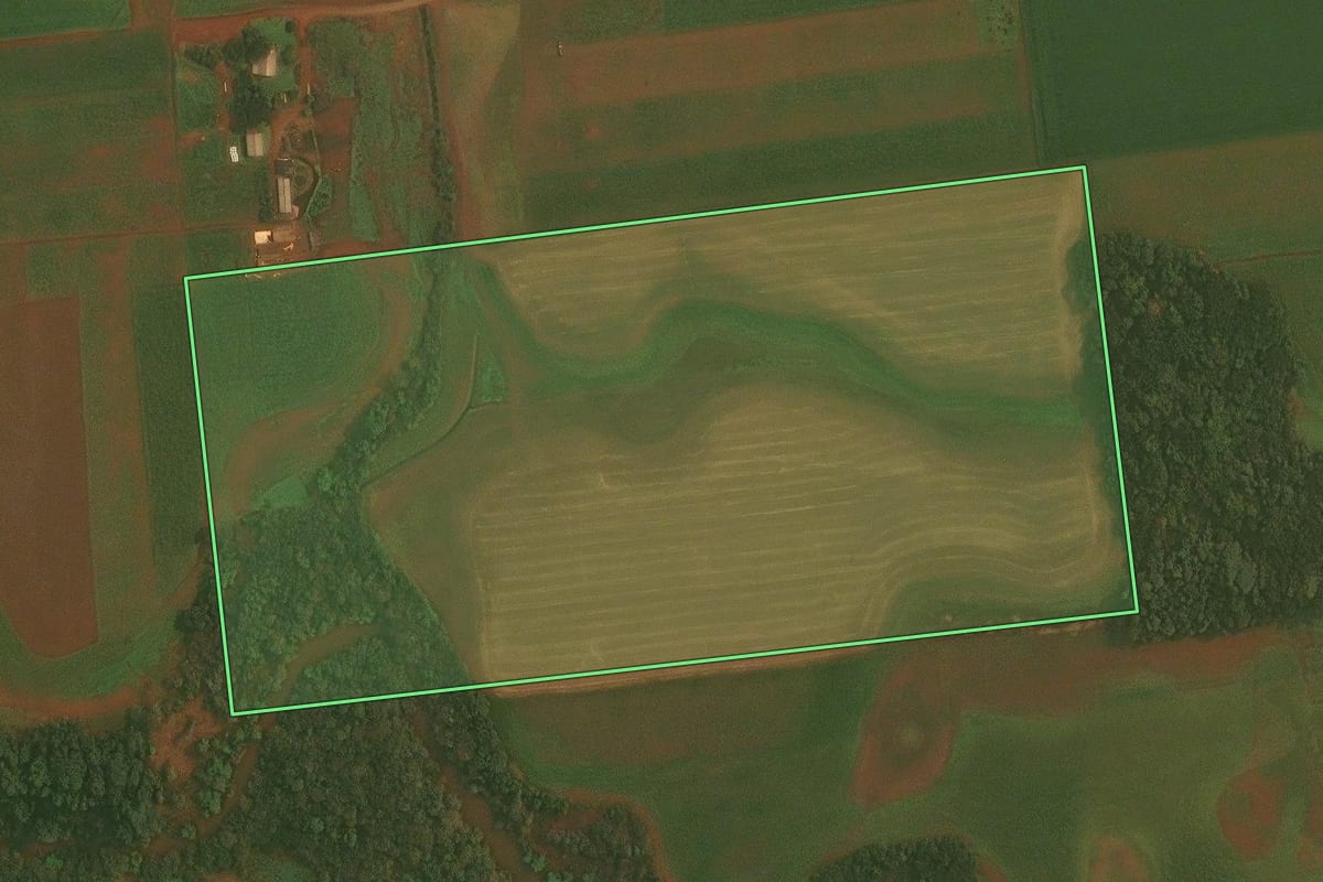 Imagem de satélite do imóvel rural em Selbach (RS), com o contorno declarado no CAR desenhado por cima.