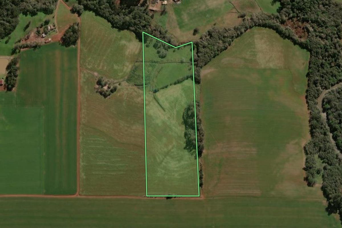 Imagem de satélite do imóvel rural em Selbach (RS), com o contorno declarado no CAR desenhado por cima.