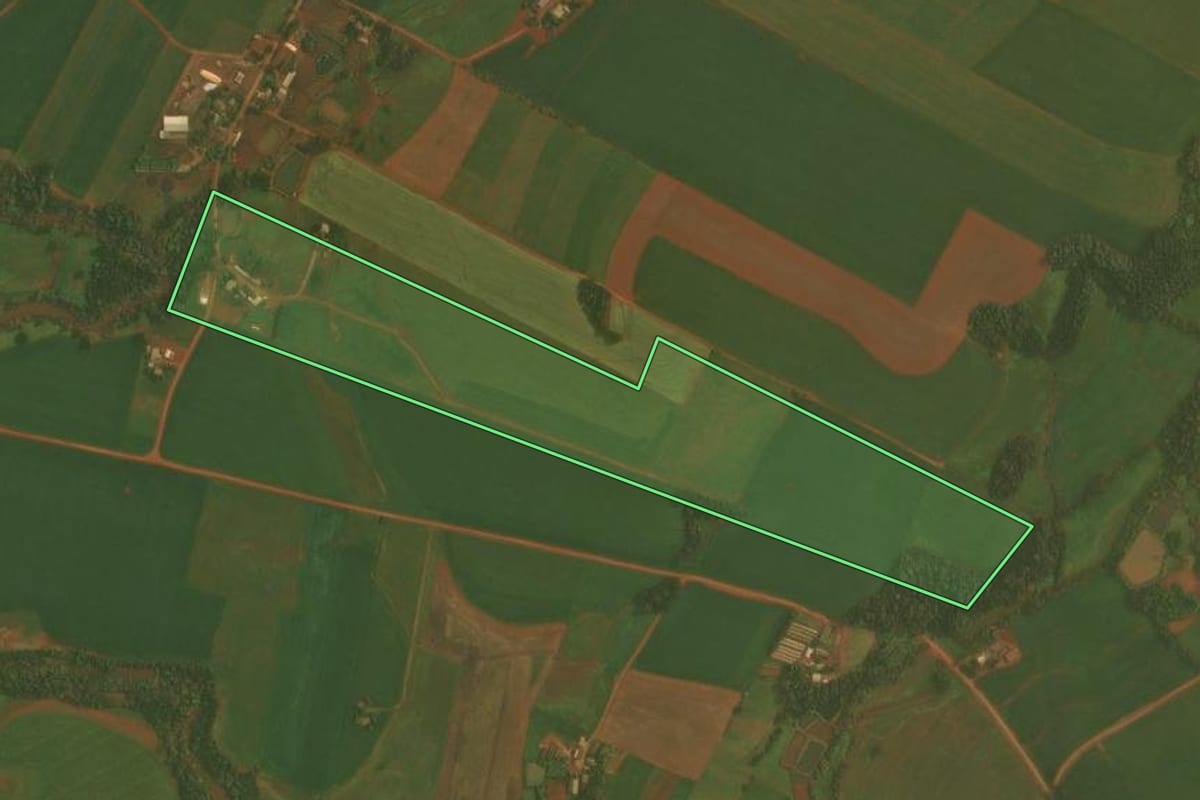 Imagem de satélite do imóvel rural em Selbach (RS), com o contorno declarado no CAR desenhado por cima.