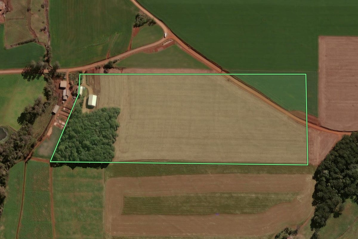 Imagem de satélite do imóvel rural em Selbach (RS), com o contorno declarado no CAR desenhado por cima.
