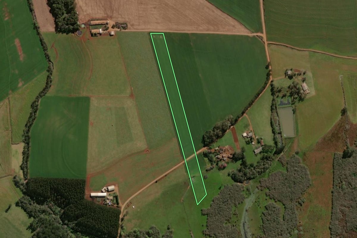 Imagem de satélite do imóvel rural em Selbach (RS), com o contorno declarado no CAR desenhado por cima.