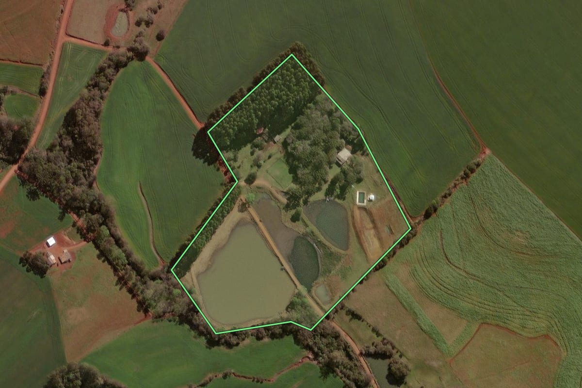 Imagem de satélite do imóvel rural em Selbach (RS), com o contorno declarado no CAR desenhado por cima.