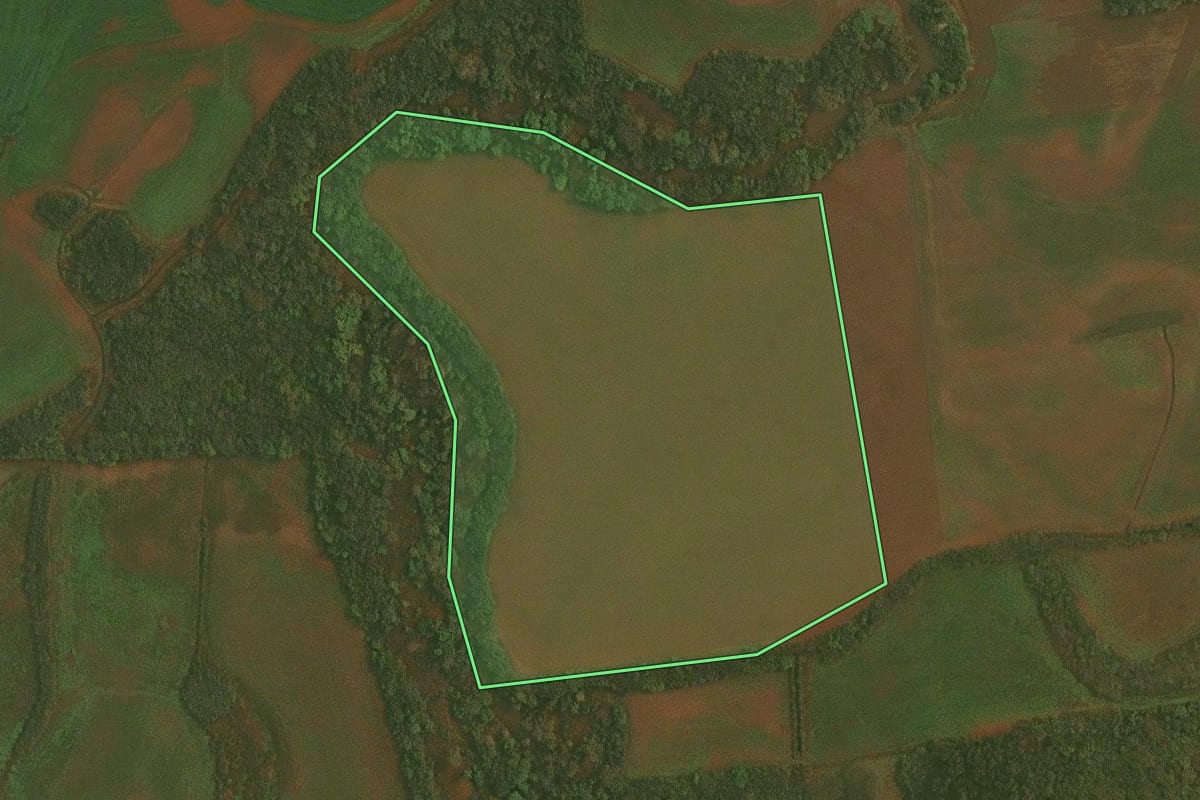 Imagem de satélite do imóvel rural em Selbach (RS), com o contorno declarado no CAR desenhado por cima.