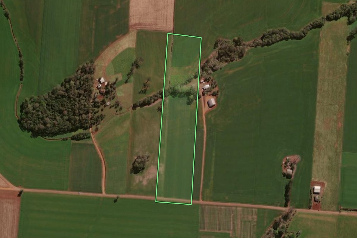 Imagem de satélite do imóvel rural em Selbach (RS), com o contorno declarado no CAR desenhado por cima.