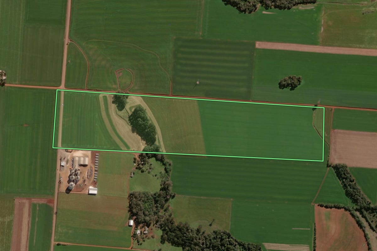 Imagem de satélite do imóvel rural em Selbach (RS), com o contorno declarado no CAR desenhado por cima.