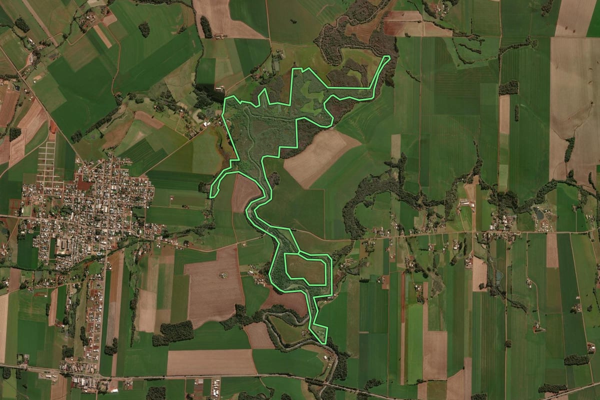 Imagem de satélite do imóvel rural em Selbach (RS), com o contorno declarado no CAR desenhado por cima.