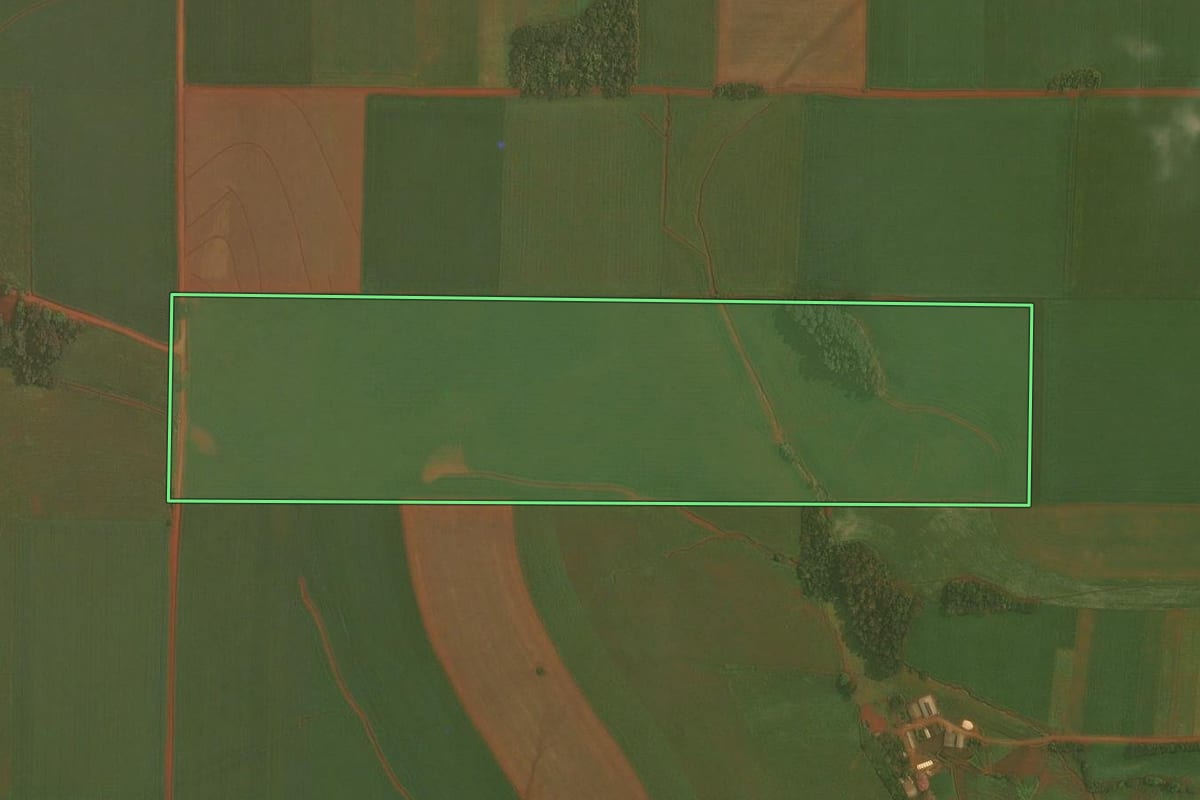 Imagem de satélite do imóvel rural em Selbach (RS), com o contorno declarado no CAR desenhado por cima.