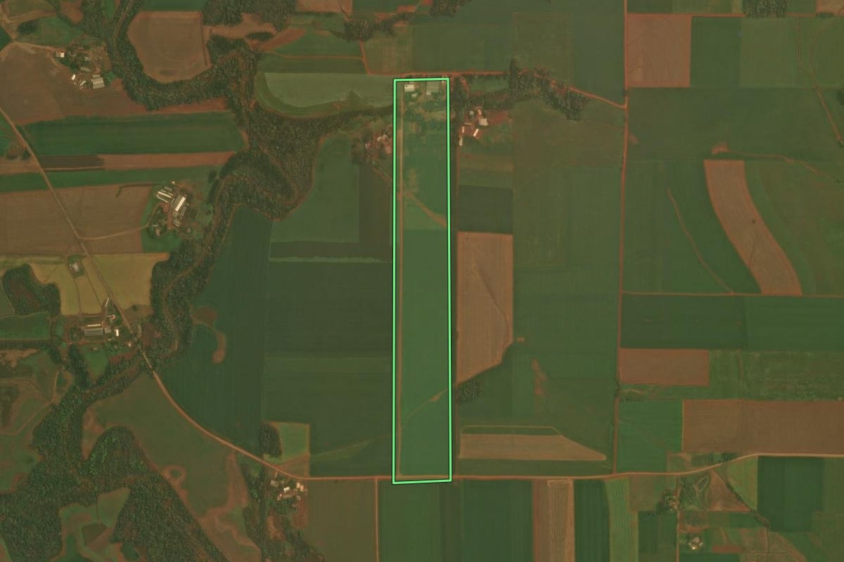 Imagem de satélite do imóvel rural em Selbach (RS), com o contorno declarado no CAR desenhado por cima.