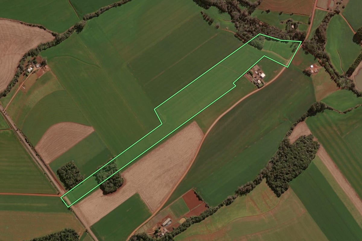 Imagem de satélite do imóvel rural em Selbach (RS), com o contorno declarado no CAR desenhado por cima.