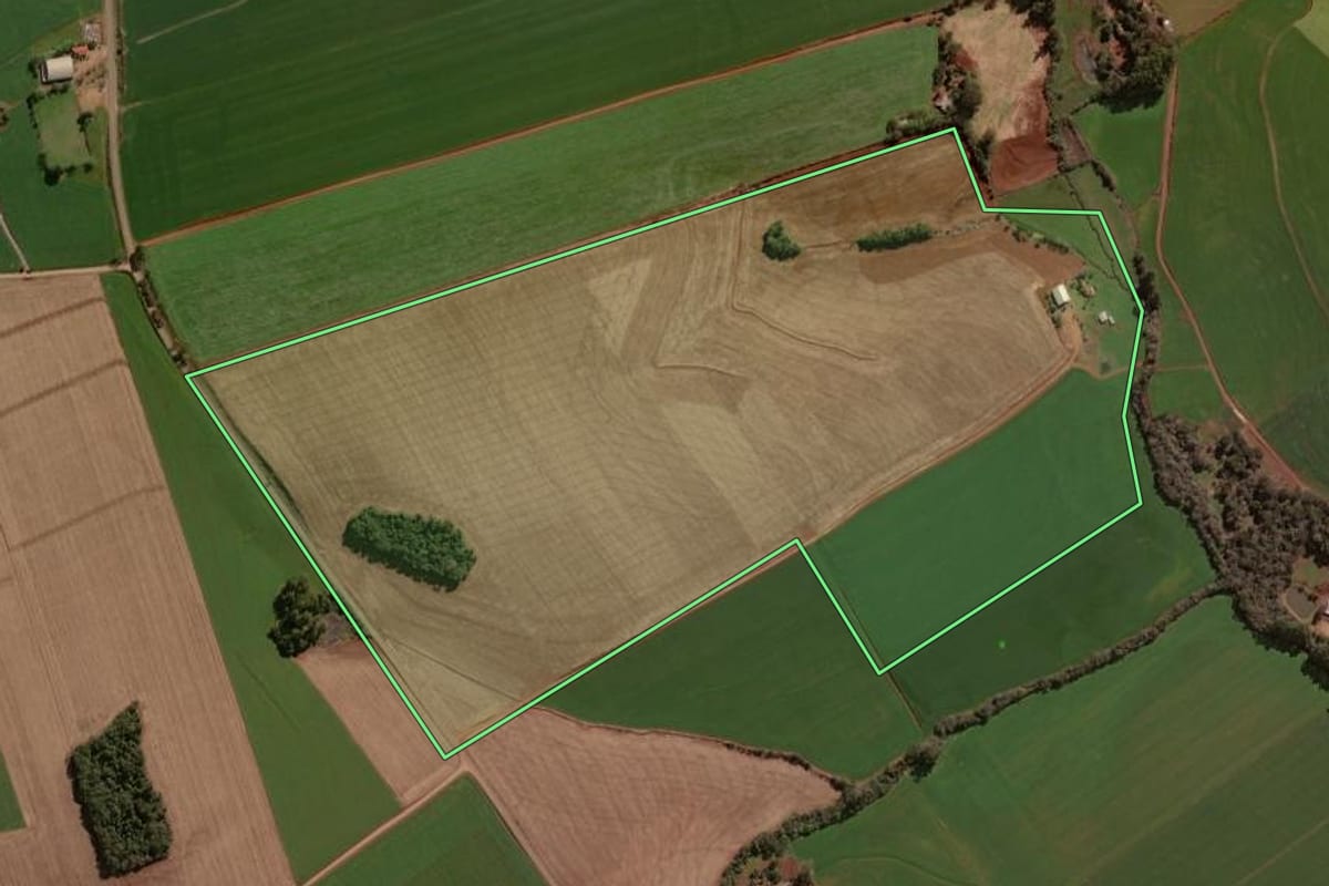 Imagem de satélite do imóvel rural em Selbach (RS), com o contorno declarado no CAR desenhado por cima.