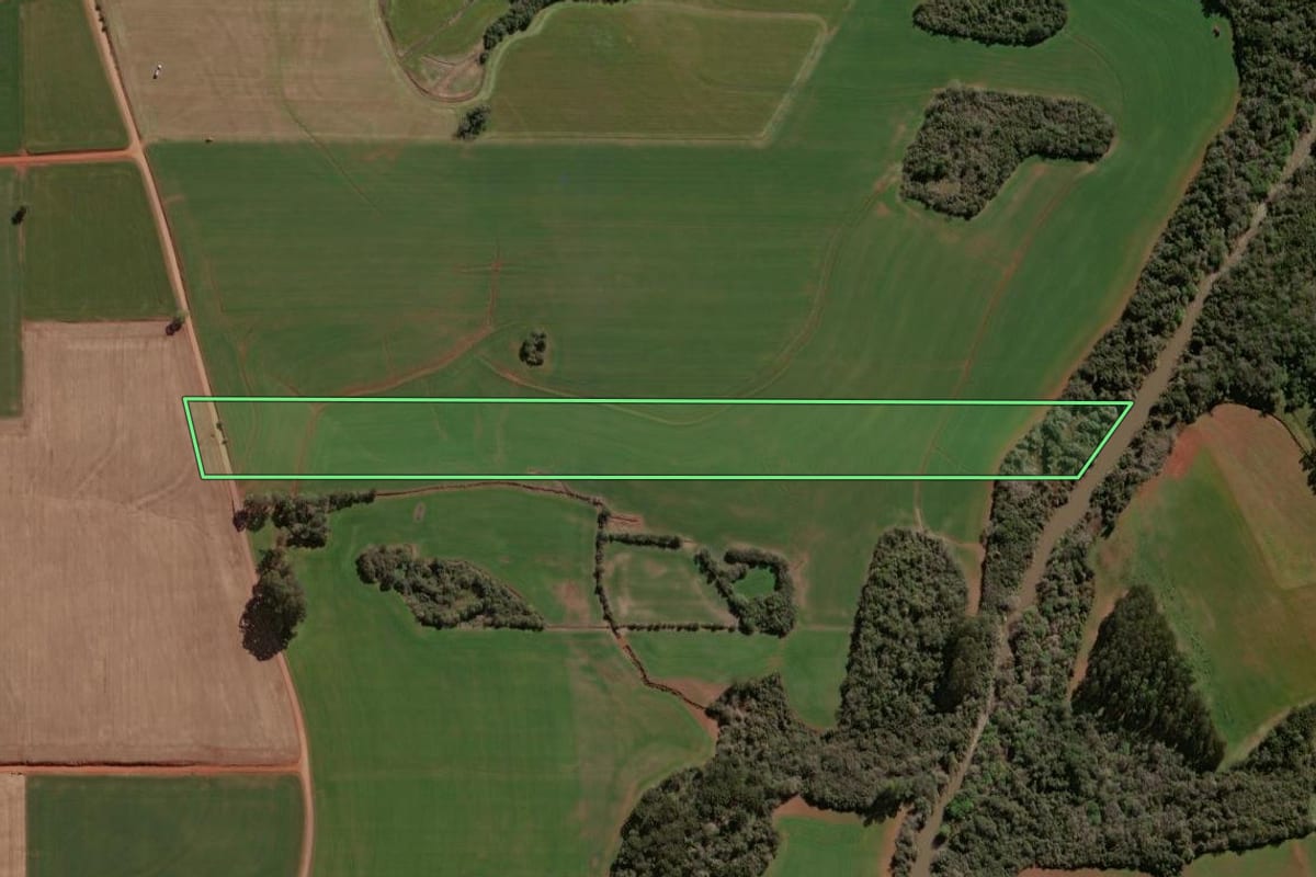 Imagem de satélite do imóvel rural em Selbach (RS), com o contorno declarado no CAR desenhado por cima.