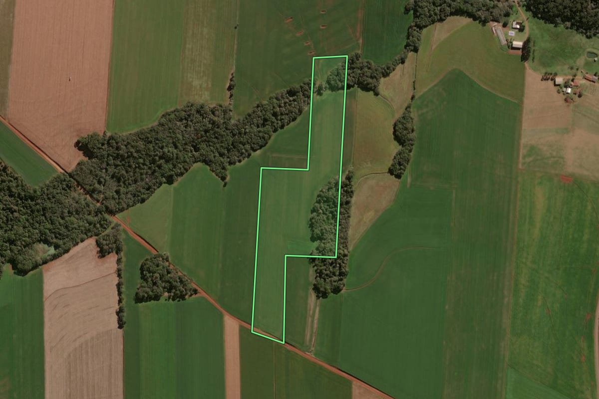 Imagem de satélite do imóvel rural em Selbach (RS), com o contorno declarado no CAR desenhado por cima.