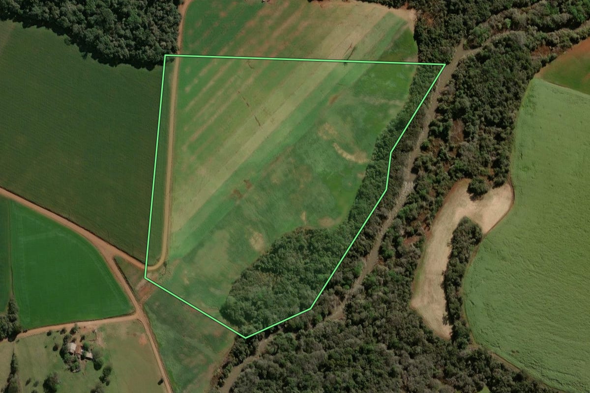 Imagem de satélite do imóvel rural em Selbach (RS), com o contorno declarado no CAR desenhado por cima.