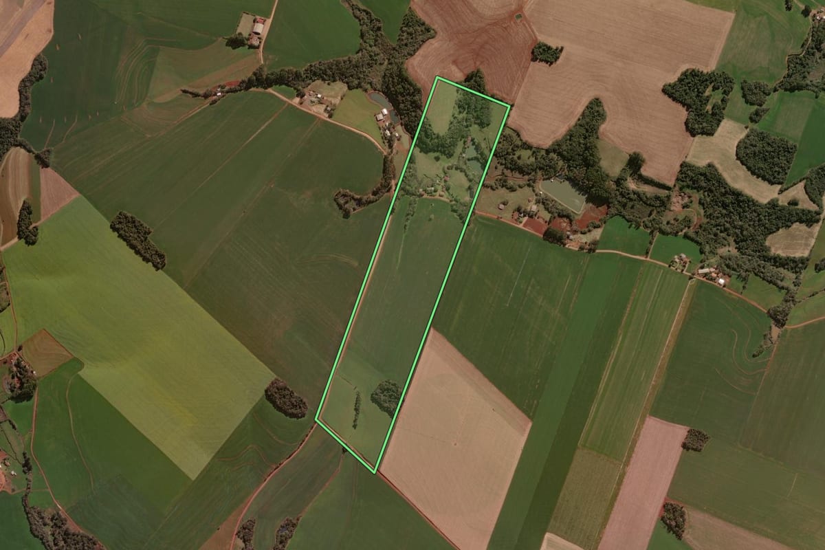 Imagem de satélite do imóvel rural em Selbach (RS), com o contorno declarado no CAR desenhado por cima.
