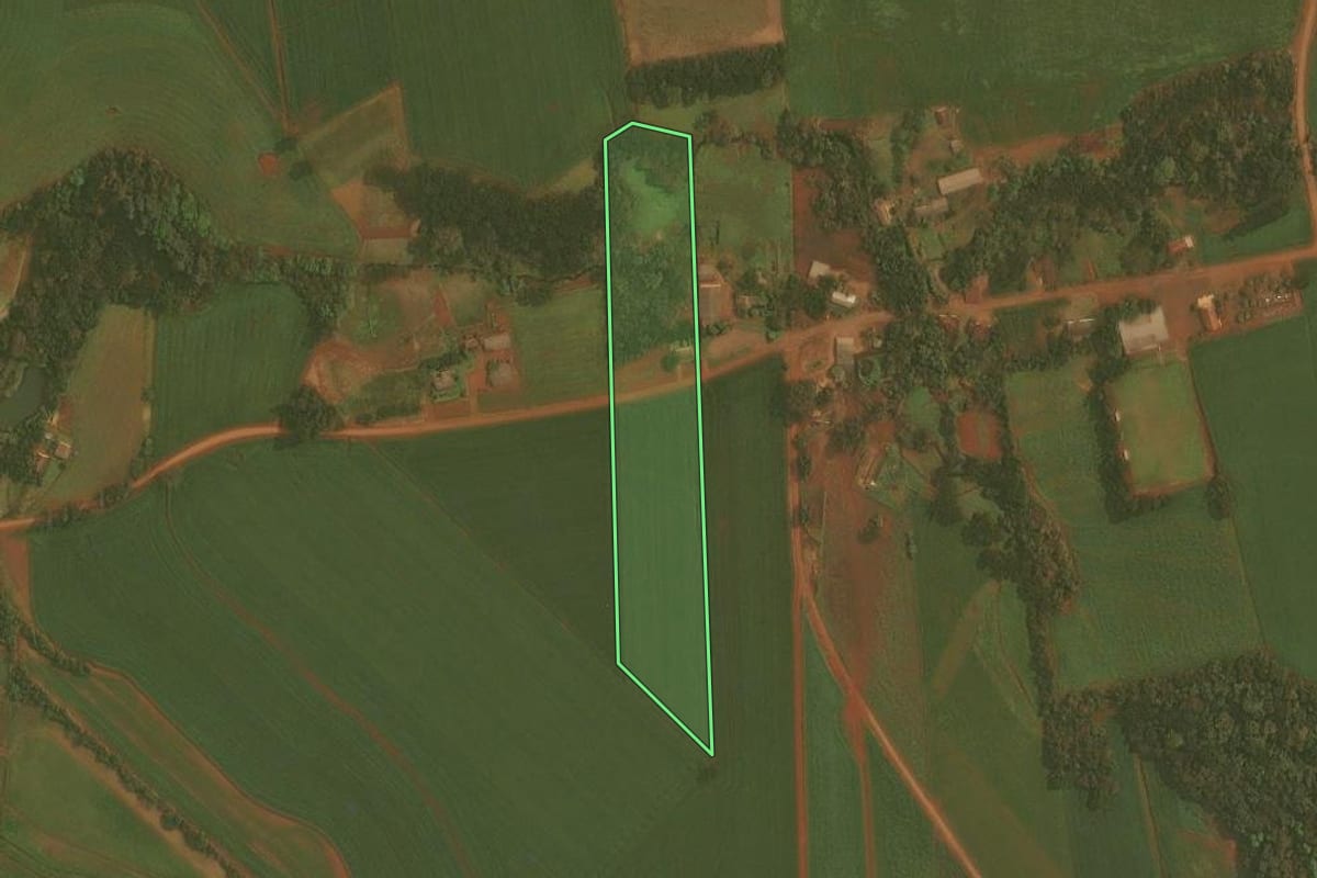 Imagem de satélite do imóvel rural em Selbach (RS), com o contorno declarado no CAR desenhado por cima.