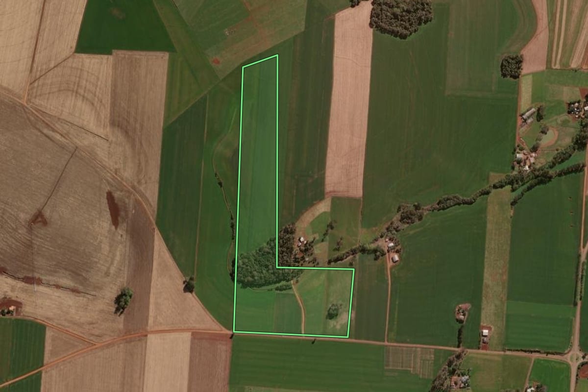 Imagem de satélite do imóvel rural em Selbach (RS), com o contorno declarado no CAR desenhado por cima.